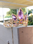 Rapunzel Parks Inspired Crown