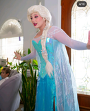 Elsa Snow Queen Corset